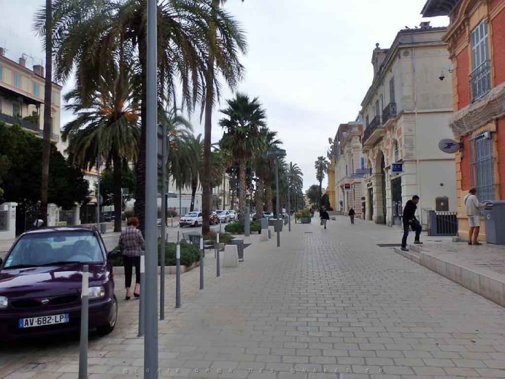 183 HYERES ET SES PALMIERS D14_000028.jpg